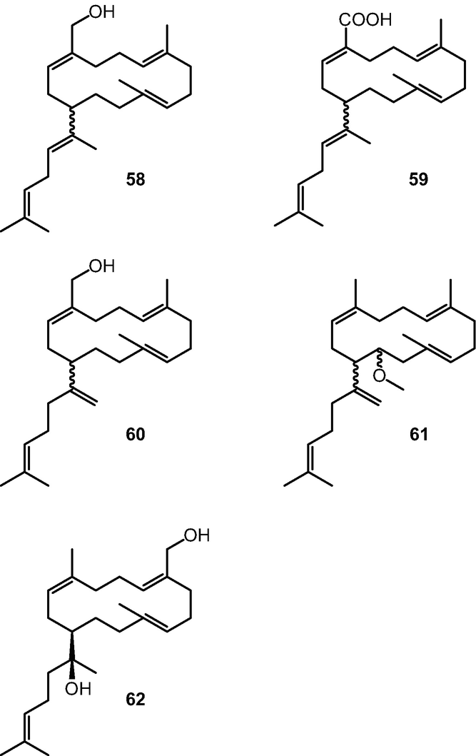 figure 41