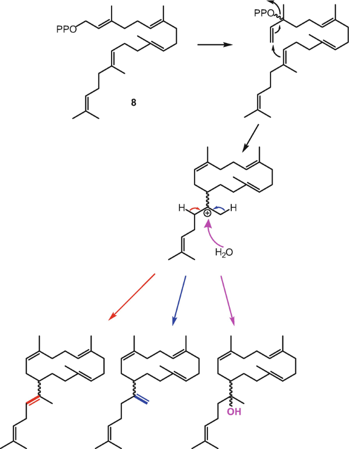 figure 42