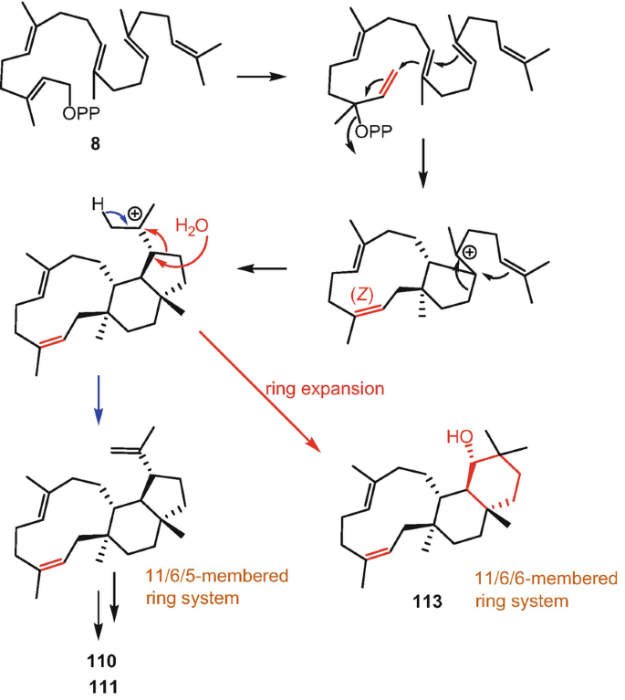 figure 78