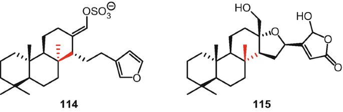 figure 79