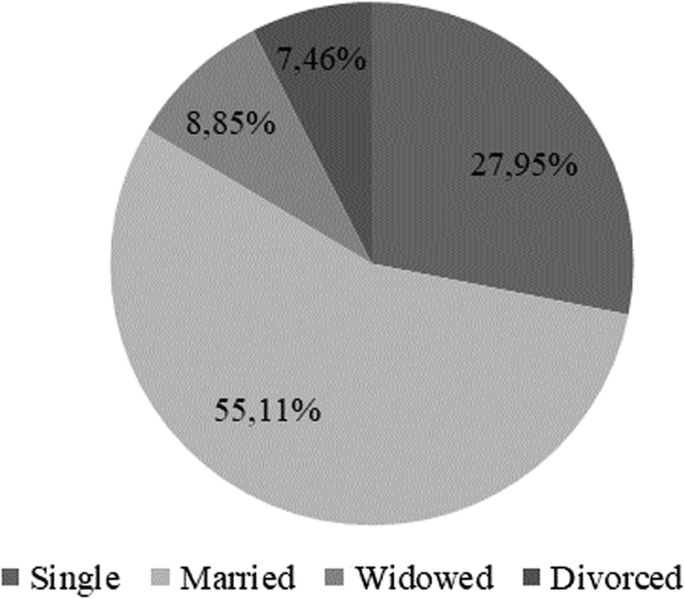 A pie chart compares marital status distribution in %. Married are high at 55,11 and divorced are low at 7,46.