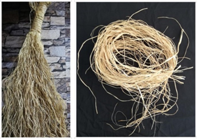 What is Raffia and is it Sustainable? - TheRoundup