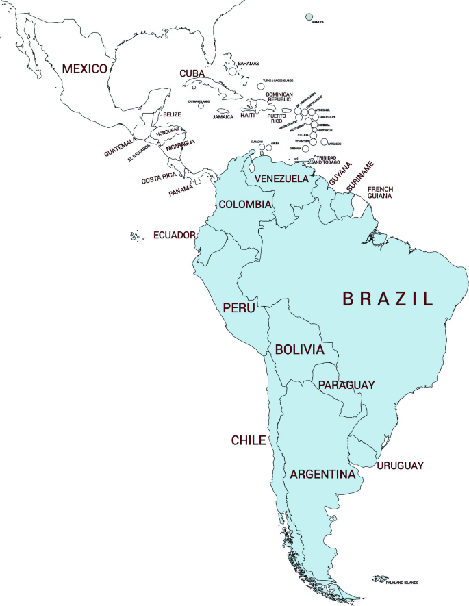 General Situation in Latin America | SpringerLink