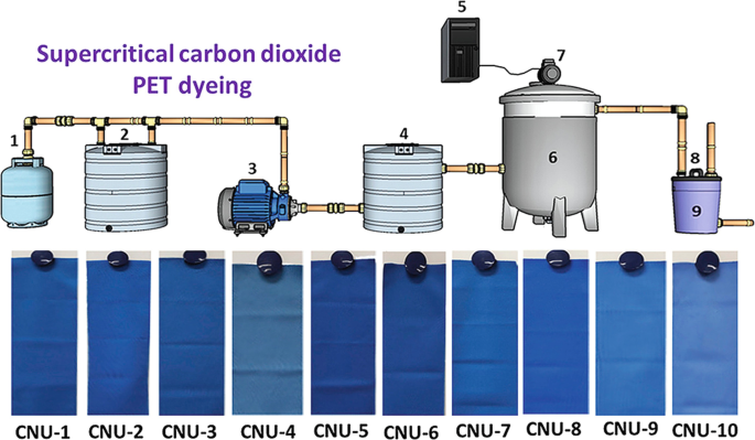 Full article: Green Sustainable Textile Supercritical Dyeing Process Using  CO2 Madder (Rubia tinctorum L.) Extract