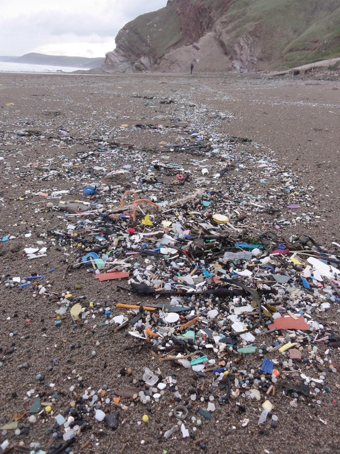 Plastics and Microplastics: Impacts in the Marine Environment | SpringerLink