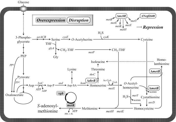 figure 18