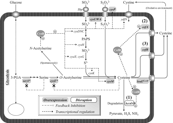 figure 19