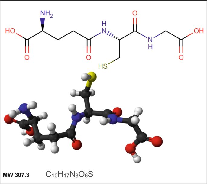The Vitamins and the Organic Micronutrients in the Wheat Kernel