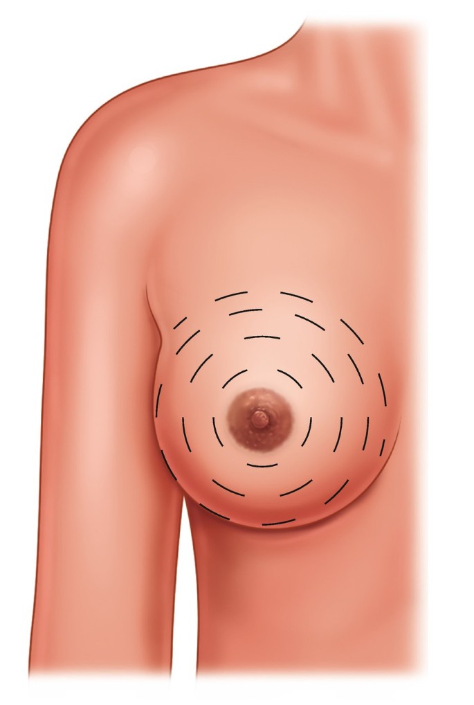 Why are breasts called Boobs — Steemit