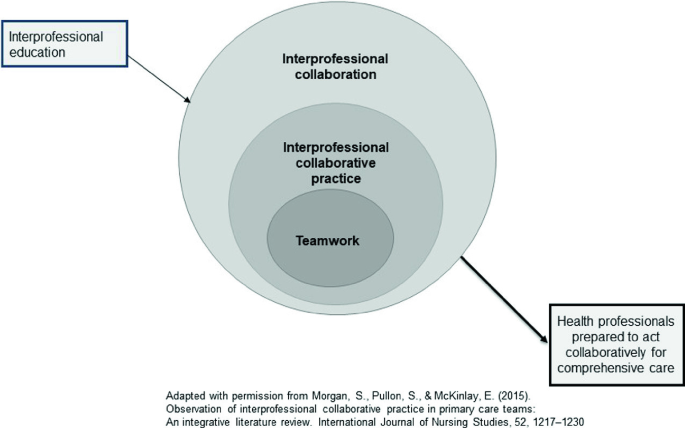 PDF) Multiprofessional family health residency as a setting for education  and interprofessional practices