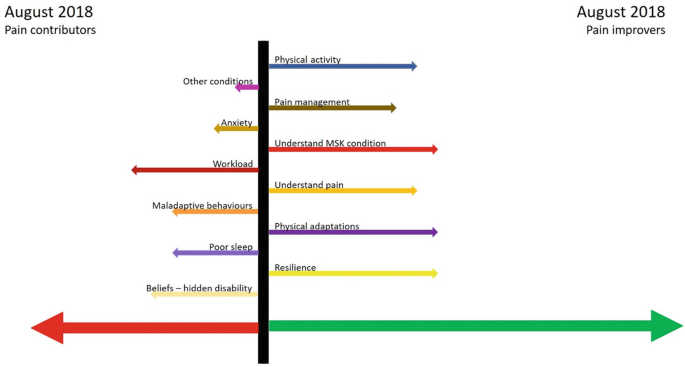 A vector diagram of August 2018. On the left are pain contributors like anxiety and workload. On the right are pain improvers like physical activity.