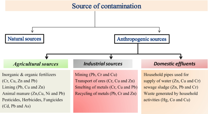 effect of heavy metals on enzymes