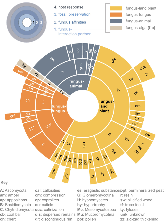 Fungi as Parasites: A Conspectus of the Fossil Record | SpringerLink Fungi as Parasites: A Conspectus of the Fossil Record | SpringerLink