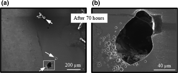 figure 29