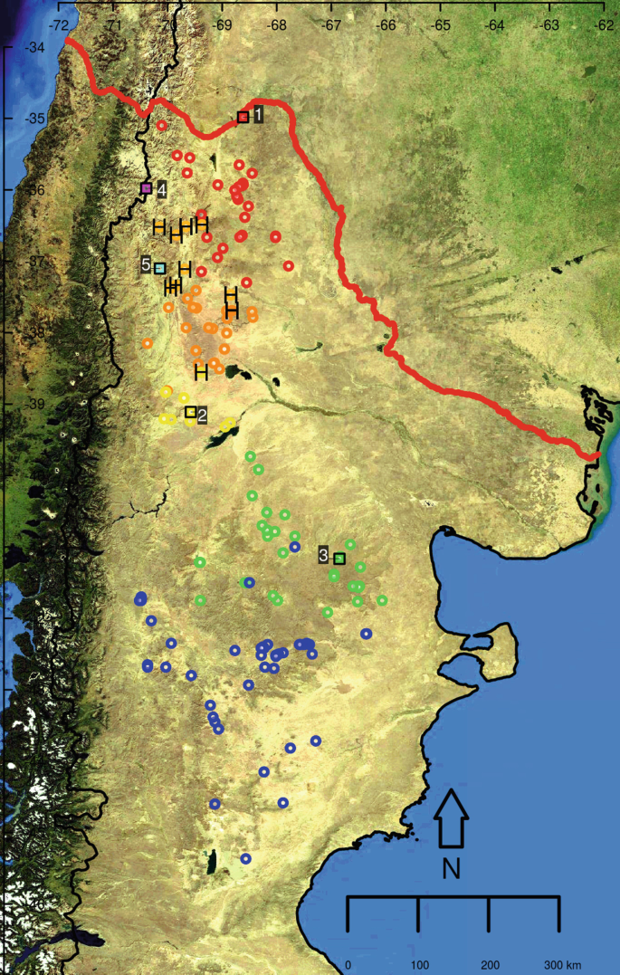 Shadow of the Colossus lizard location map - find all the lizards