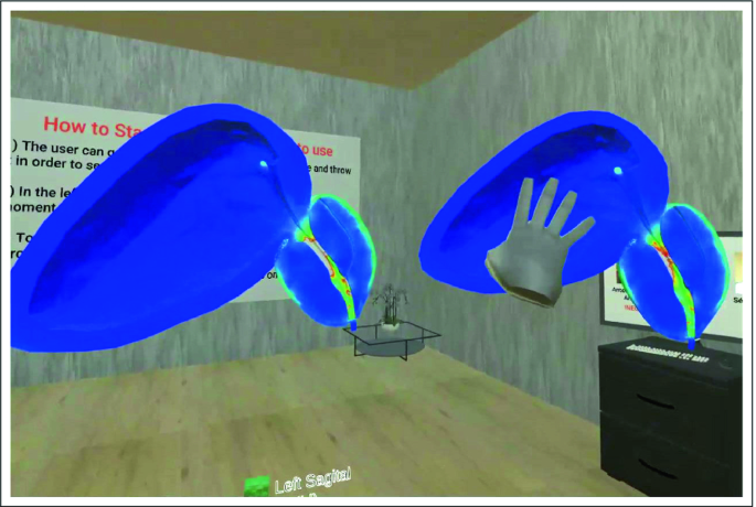 Virtual Reality Tools Applied to the Male Urinary System