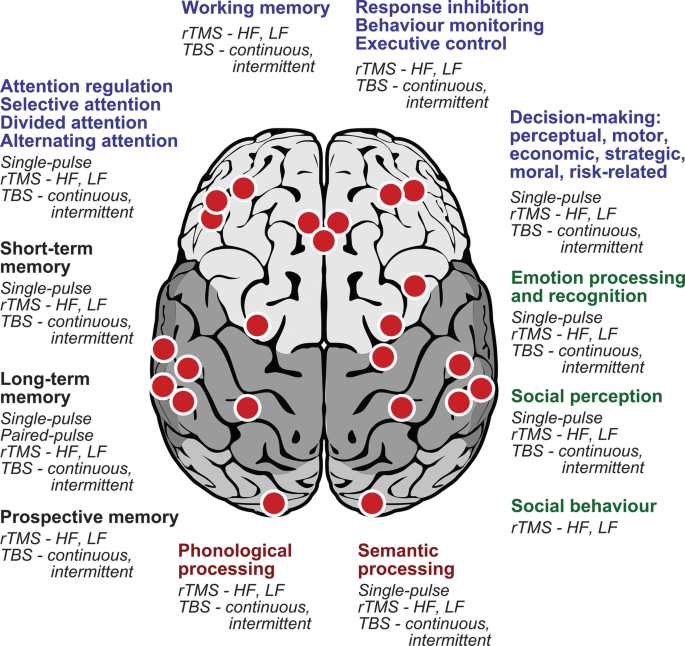 TMS Reveals Dynamic Interaction between Inferior Frontal Gyrus and  Posterior Middle Temporal Gyrus in Gesture-Speech Semantic Integration