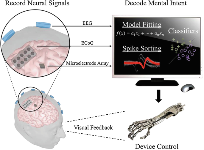 A brain-computer interface that evokes tactile sensations improves robotic  arm control