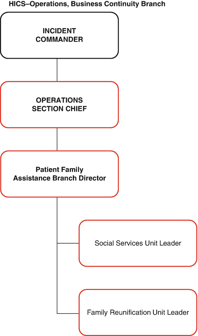 Incident Command System | SpringerLink