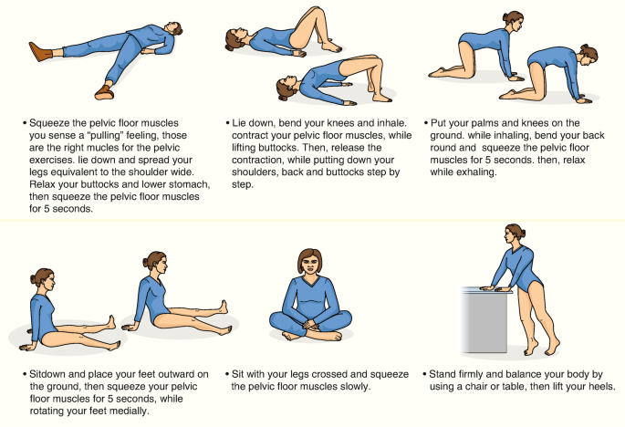 Pelvic Floor Muscle Exercises to Prevent and Treat Pelvic Floor