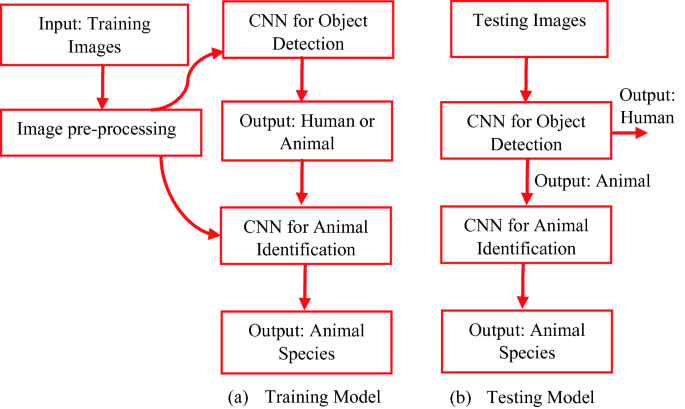 Animal Species Recognition Using Deep Learning | SpringerLink