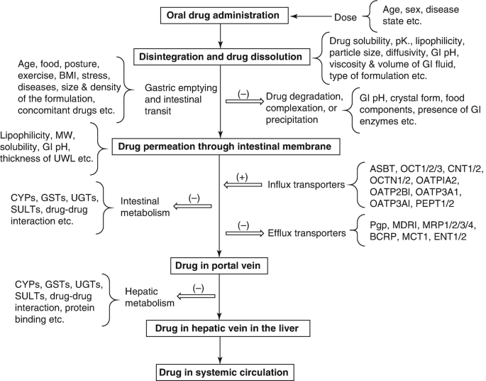 Drug-Nutrient Interactions | Springer Nature Link