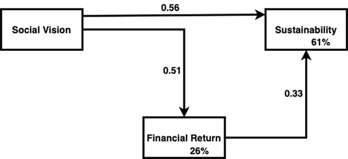 A diagram of the relationship illustrates that financial return partially mediates the effect of social vision on sustainability.