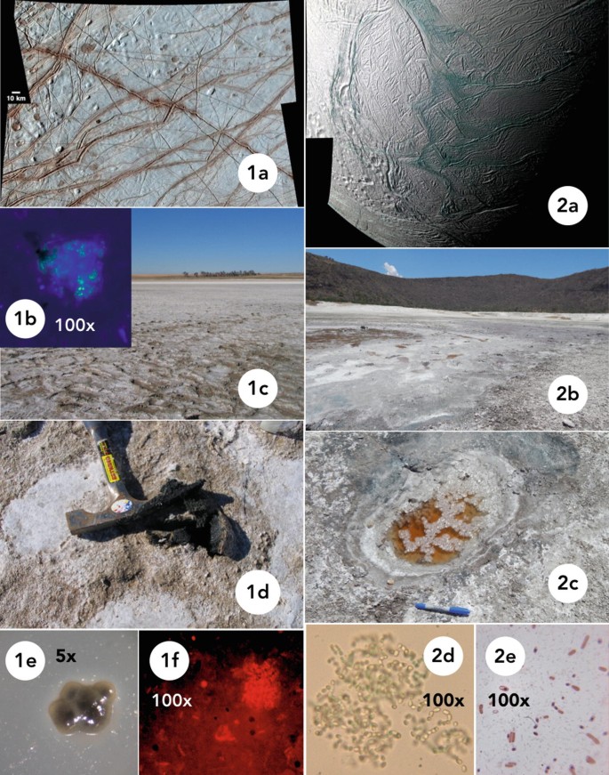 Astrobiology and Planetary Sciences in Mexico