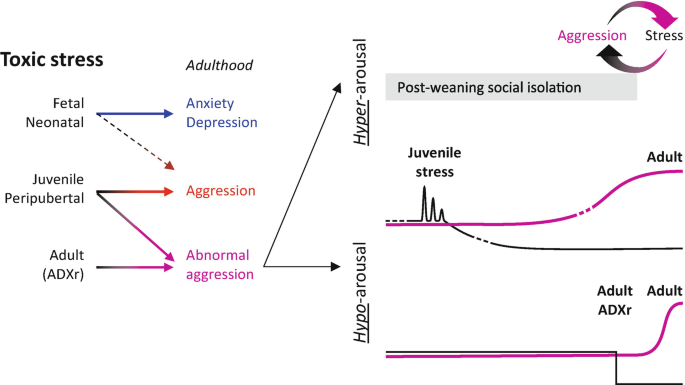 Frontiers  Experimental Social Stress: Dopaminergic Receptors, Oxidative  Stress, and c-Fos Protein Are Involved in Highly Aggressive Behavior