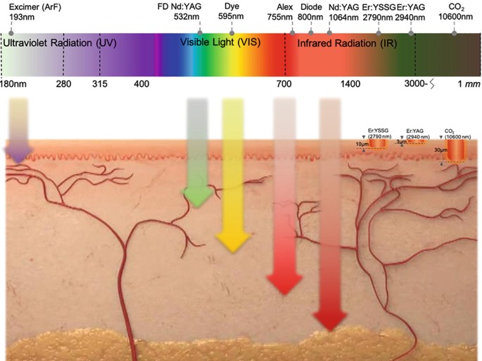 Chart illustrating 660nm vs 850nm light penetration depth