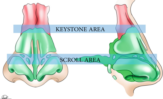 figure 24