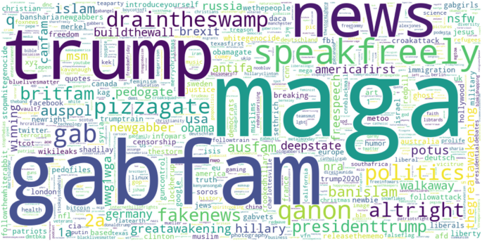 2 Aggregated word cloud of gabs, reposts, and reshares involving a