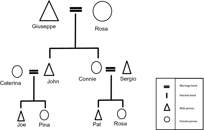 Networks and Comparatico Across the Three Generations | SpringerLink