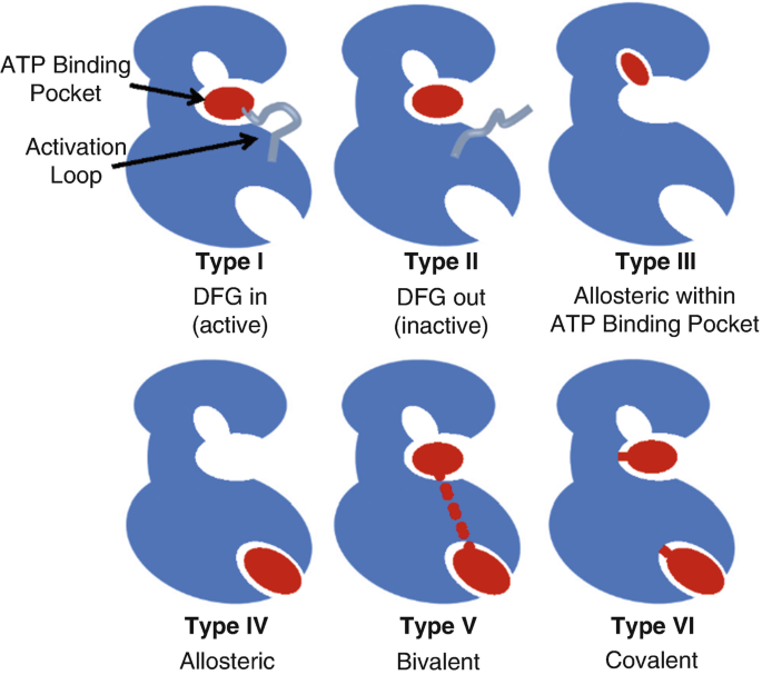 Avoiding Or Co Opting Atp Inhibition Overview Of Type Iii Iv V And Vi Kinase Inhibitors Springerlink