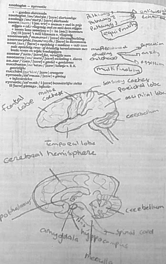 A photograph of a page in a student note. It contains the brain diagram with parts marked and some text above it.