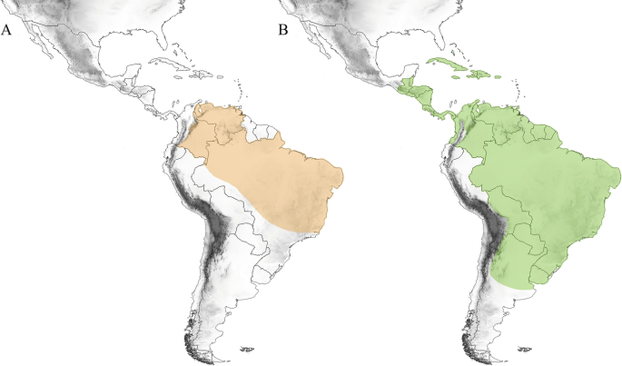 PDF) Padrões e processos biogeográficos na Amazônia