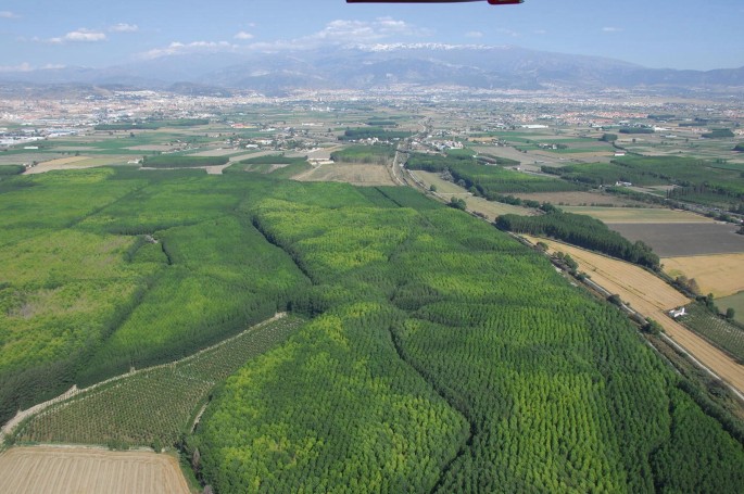 Homenaje Torres Montes, PDF, Granada