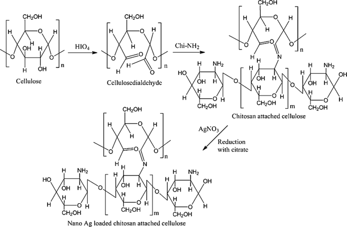 scheme 10