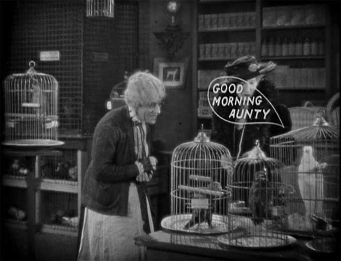 A photograph of 2 old women as they look at the cages of talking birds and a bird says, good morning aunty.