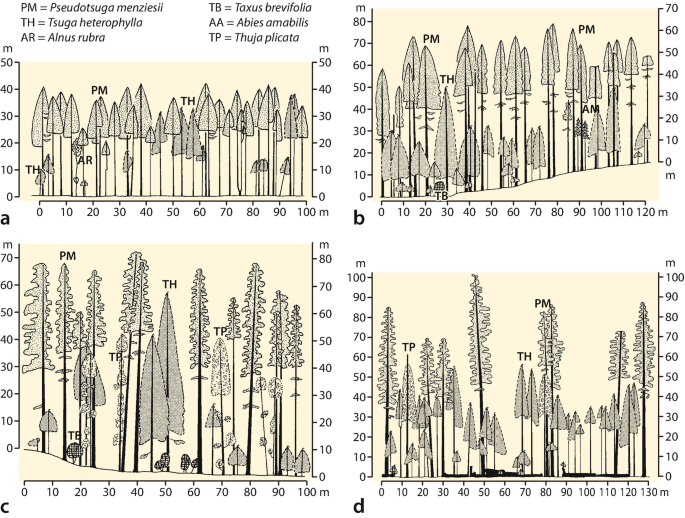 Zonal Vegetation of the Humid Nemoral (Cool–Temperate) Zone | SpringerLink