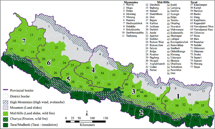 Nepal fails in ambitious attempt to revive wild water buffalo population, News, Eco-Business