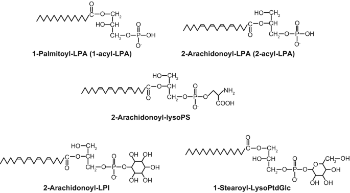 Druggable Lysophospholipid Signaling Pathways | SpringerLink