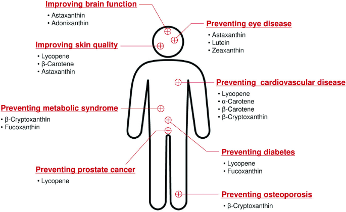 Nutraceutical and Pharmaceutical Applications of Carotenoids | Springer  Nature Link