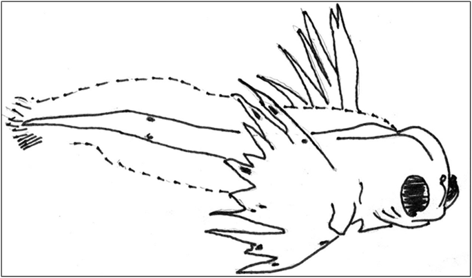 figure 14