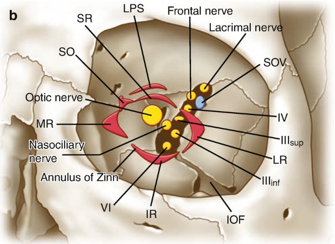 figure 34