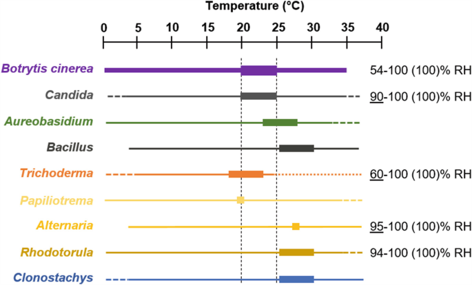 Influence Of Environment On The Biocontrol Of Botrytis Cinerea A Systematic Literature Review Springerlink
