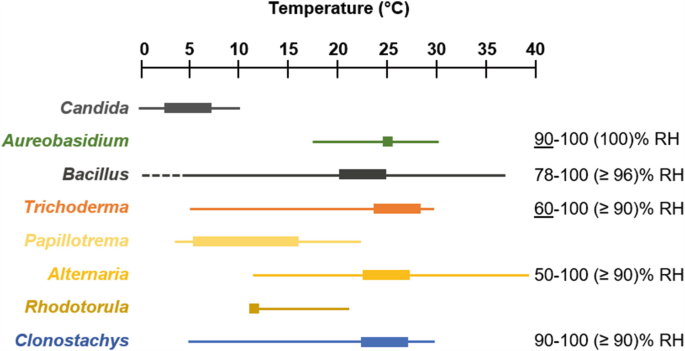 Influence Of Environment On The Biocontrol Of Botrytis Cinerea A Systematic Literature Review Springerlink