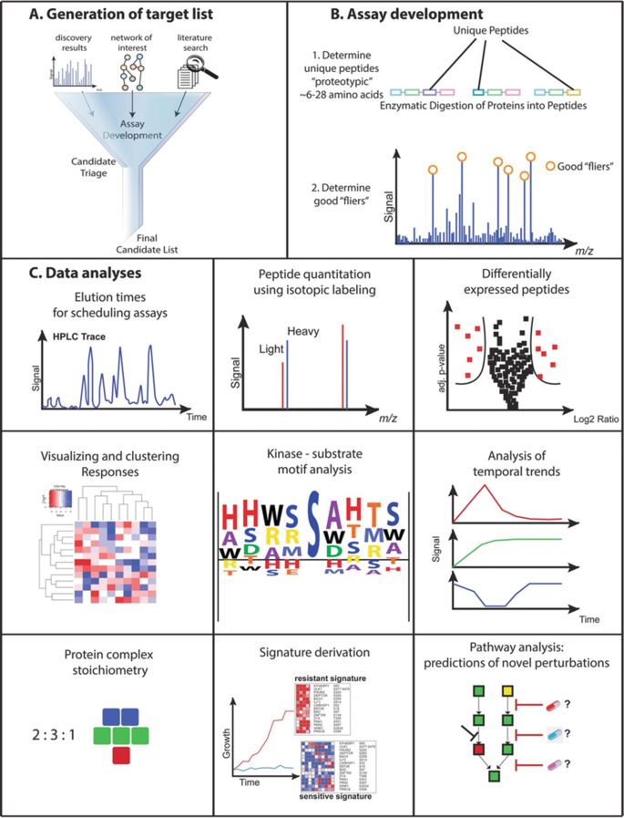 New 3-Tier System for Targeted Mass Spectrometry Assays