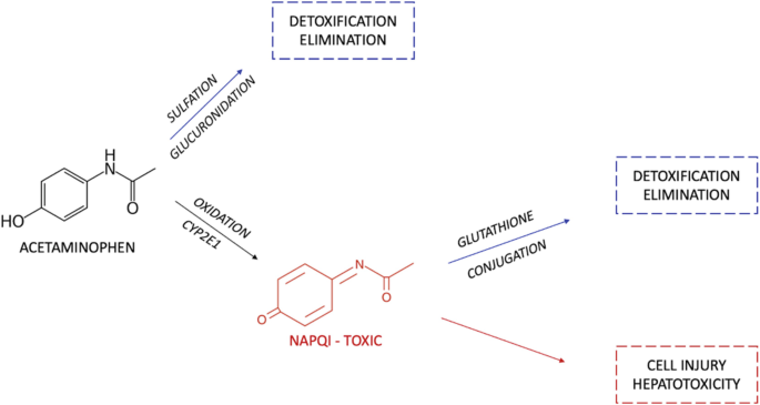 Poisoning | Springer Nature Link Poisoning | Springer Nature Link