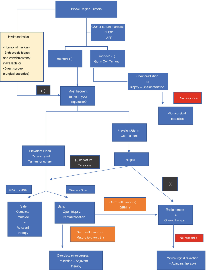 Outcomes and surgical approaches for pineal region tumors in children: 30  years' experience in: Journal of Neurosurgery: Pediatrics Volume 32 Issue 2  (2023) Journals